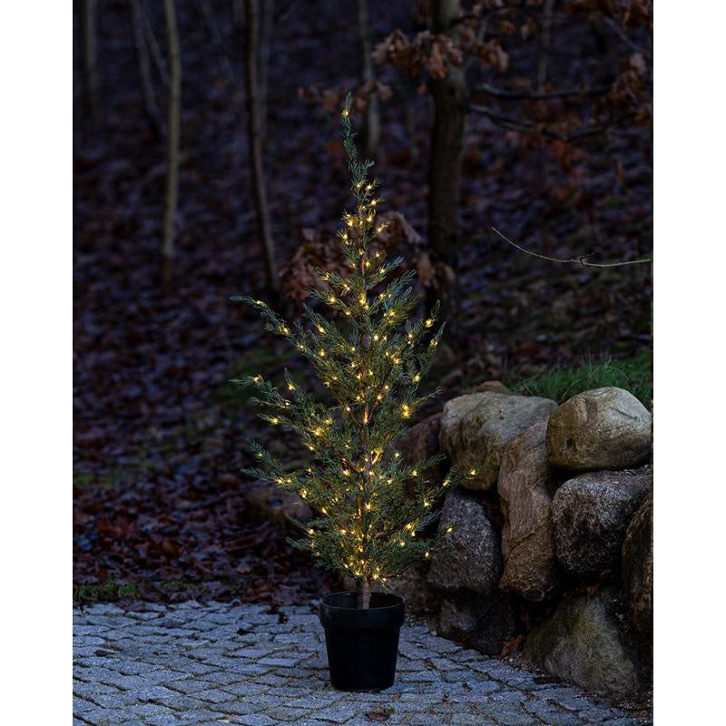 Betoverende Sirius Milas Cederboom - Haal de kerstsfeer in huis