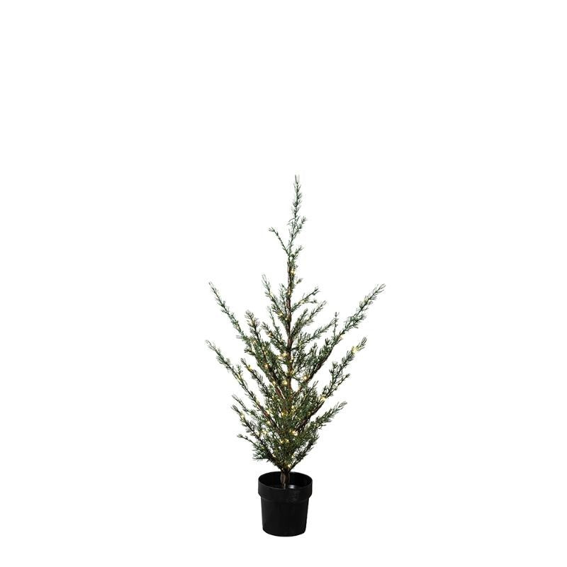 Betoverende Sirius Milas Cederboom - Haal de kerstsfeer in huis