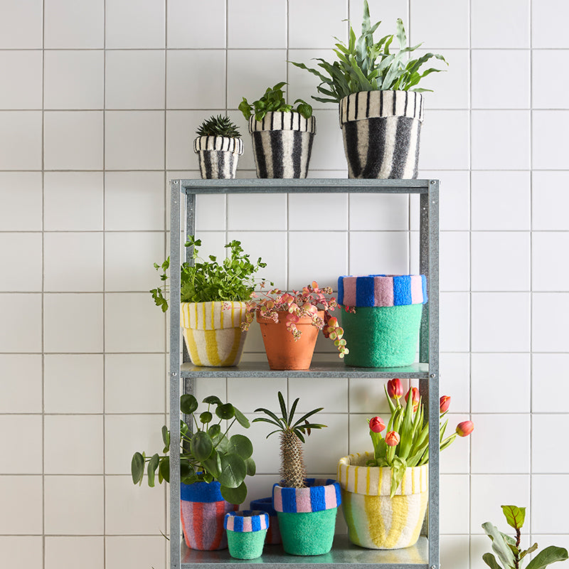 Aveva Flower Pot 20 – The Circus (M) – Handgemaakte Vilten Bloempot