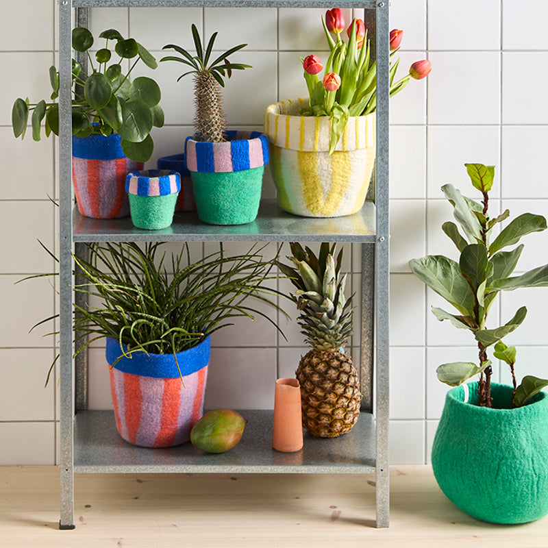 Aveva Flower Pot 20 – The Circus (M) – Handgemaakte Vilten Bloempot