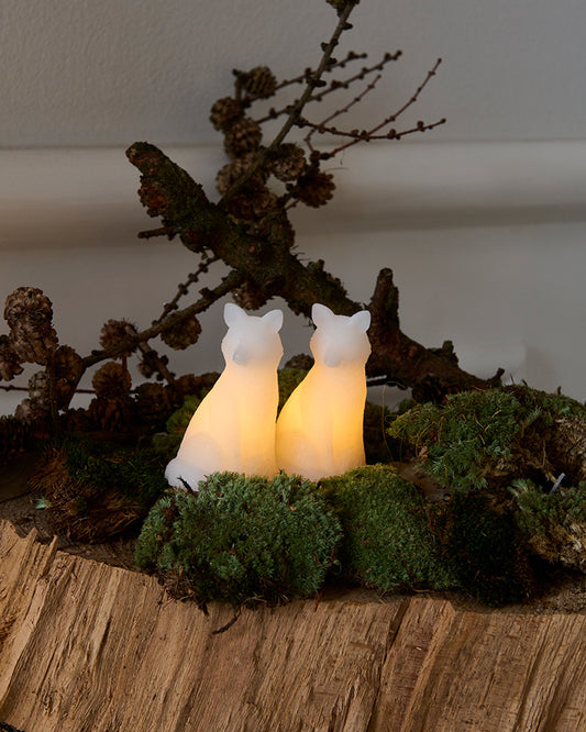 Betoverende Edda Vossen Decoratieve LED Figuren