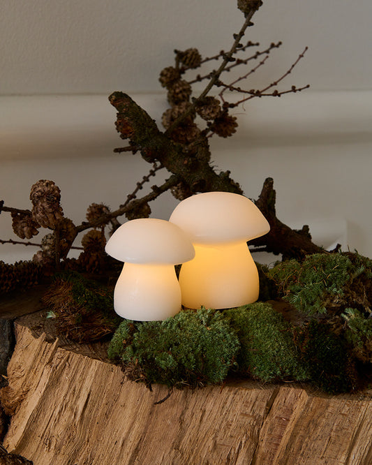 Betoverende Elvina Paddestoel LED Decoratieset